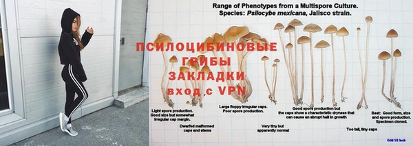 кокс Арсеньев