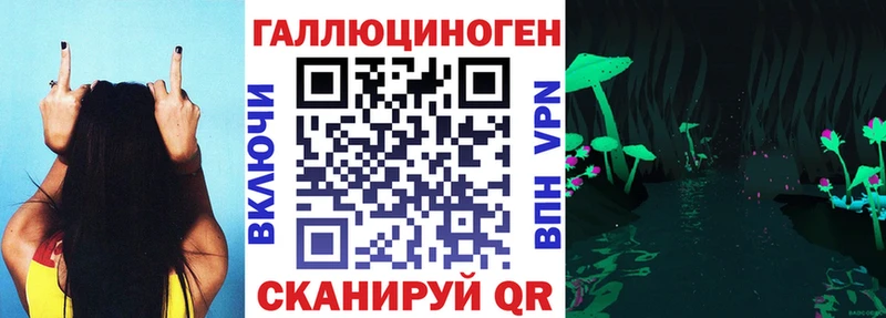 купить наркоту  Галич  blacksprut сайт  Псилоцибиновые грибы Psilocybe 